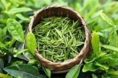 茶葉農藥檢測儀在中藥材生產基地的應用 茶葉農藥檢測儀在中藥材生產基地的應用