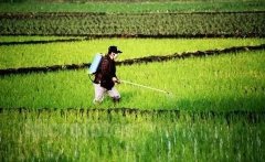 農藥殘留速測儀檢測原理是什么 農藥殘留速測儀檢測原理是什么