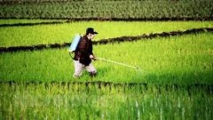 便攜式農殘儀使用說明書 便攜式農殘儀使用說明書
