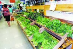 多功能食品安全檢測儀農藥殘留酶抑制法 多功能食品安全檢測儀農藥殘留酶抑制法