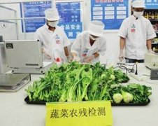 蔬菜水果農藥檢測儀檢測依據是什么 蔬菜水果農藥檢測儀檢測依據是什么