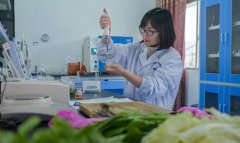 蔬菜農(nóng)藥殘留快速檢測(cè)儀器哪個(gè)準(zhǔn)確 蔬菜農(nóng)藥殘留快速檢測(cè)儀器哪個(gè)準(zhǔn)確